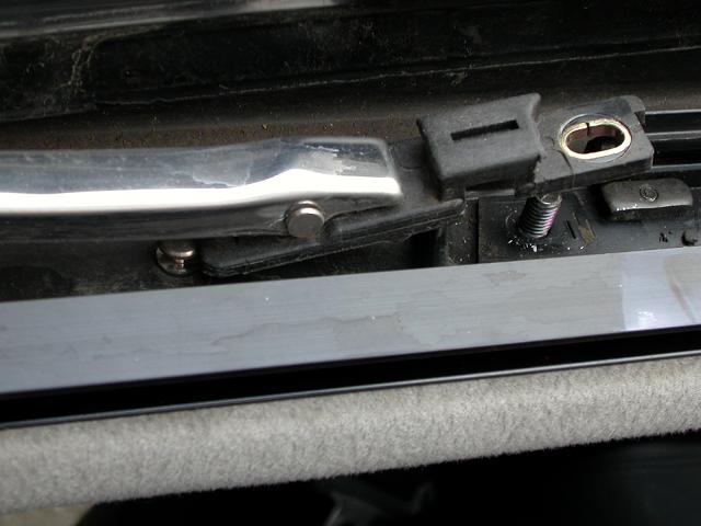 frontnut.jpg