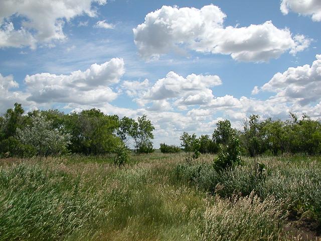 northdakota.jpg